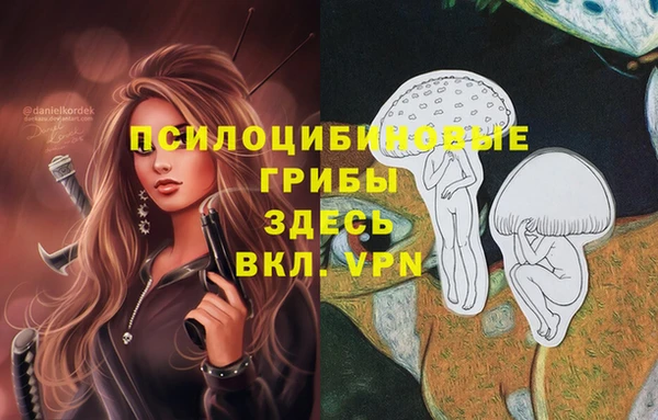 эйфоретик Балахна