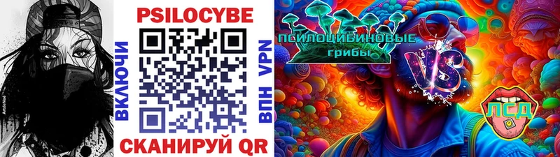 где продают наркотики  Городище  Псилоцибиновые грибы GOLDEN TEACHER 