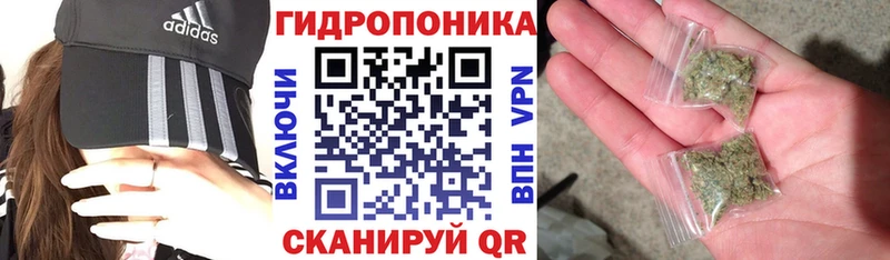 блэк спрут вход Городище Шишки марихуана сатива
